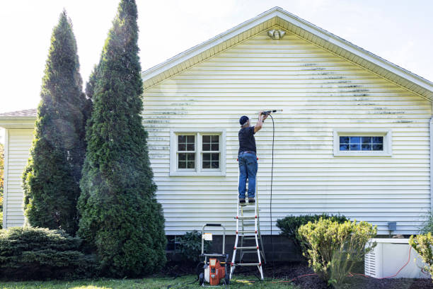 Best Residential Pressure Washing Services  in Wenona, IL