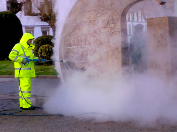 Best Sidewalk Pressure Washing  in Wenona, IL