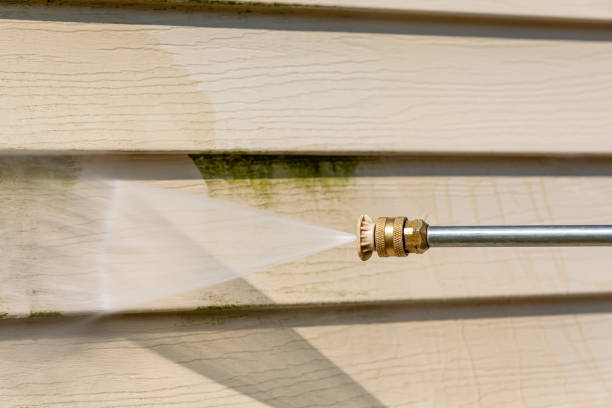 Best Pressure Washing Contractors  in Wenona, IL