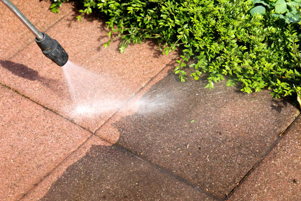 Professional Pressure Washing in Wenona, IL
